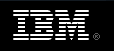 ibm_logo.png