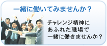 大手企業向け情報共有システム開発に携わってみませんか
